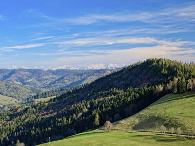 Blick vom Köpfle oberhalb von Muggenbrunn ins Wiesental.