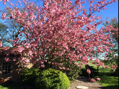 Bild 18 aus  Nase im Wind