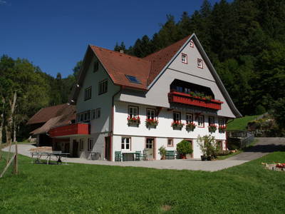 Bild 4 aus  Hanselishof