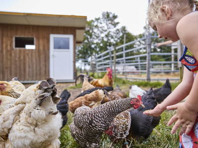 Bild 5 aus  LandSelection Schwarzfelder Hof