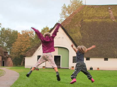 Bild 8 aus  Hamkenshof