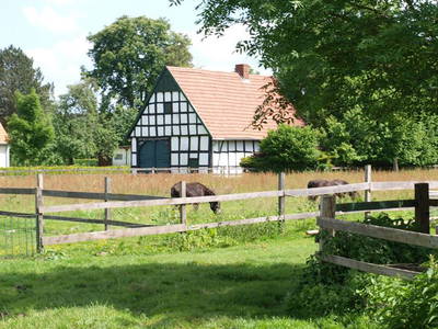 Bild 3 aus  Meyerhof