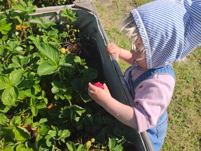 Bild 6 aus  Ahoi Ostsee:  Bauernhof und OstseeUrlaub - Ferienhof Becker in Dahme