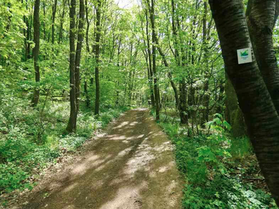 Bild 9 aus  Marienhof