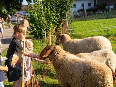 Bild 21 aus  LandSelection Hagerhof