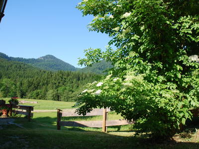 Bild 44 aus  Masererhof - Ferienbauernhof im Chiemgau