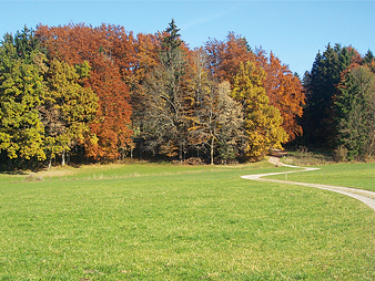 Bild 15 aus  Meisterhof