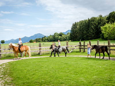 Bild 10 aus  LandSelection Hanznhof