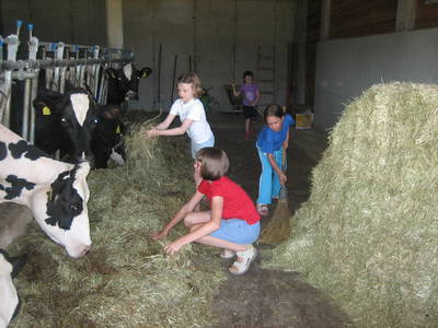 Bild 11 aus  Lärchhof