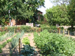 Bauerngarten