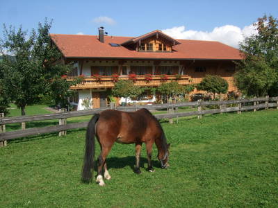 Bild 7 aus  AlpenFerienLandhaus Müller