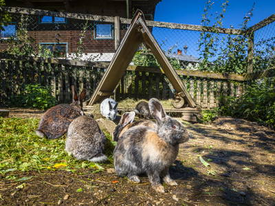 Bild 15 aus  Vordersattlegghof