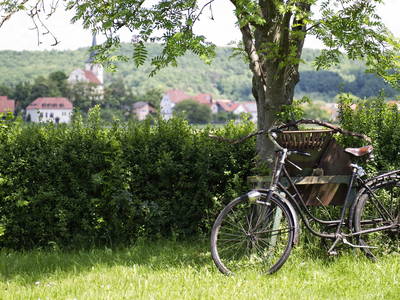 Bild 8 aus  Demeterhof Dünninger