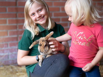 Bild 17 aus  Familienhof Brüning