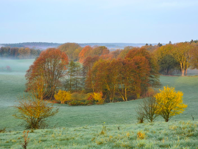 Bild 17 aus  Seehaus Hartwigsdorf