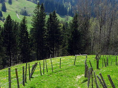 Bild 11 aus  Biohof Bilger