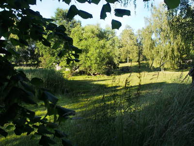 Bild 25 aus  Gut Pälitzhof