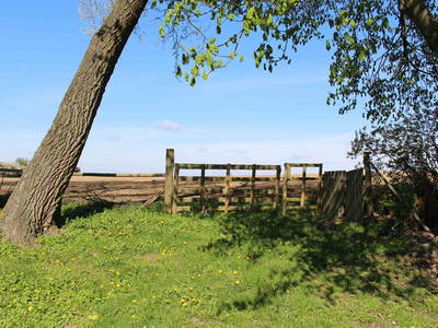 Bild 10 aus  Landhaus Parsteinsee