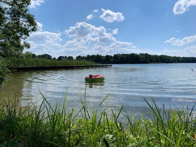 Badestelle am Pälitzsee