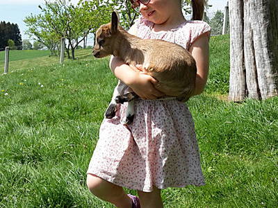 Bild 12 aus  Ferienhof Jehle