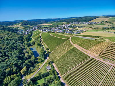 Bild 13 aus  Ferienweingut Willems, Maria Willems