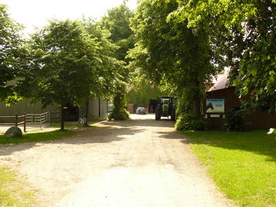 Bild 3 aus  Ferien-Ponyhof Sye