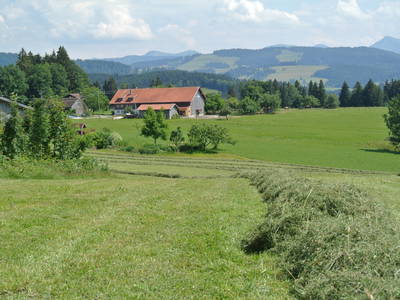 Bild 29 aus  Biohof Bilger