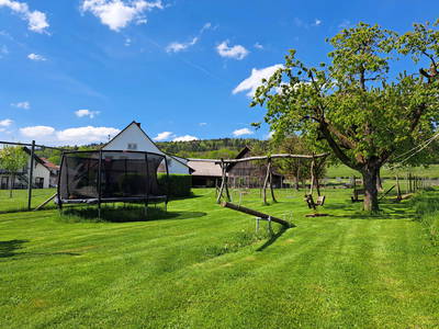 Bild 23 aus  Ferienhof Gehrenberg