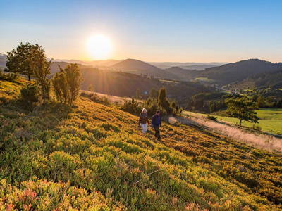 Bild 5 aus  Ferienwohnung Schütte