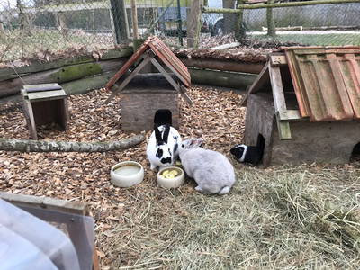 Bild 10 aus  Ferienhof  Jeiler