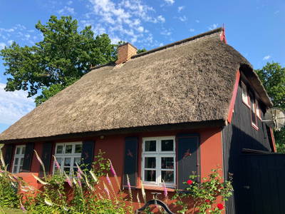 Sommer in Born auf dem Darß