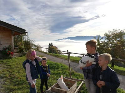 Bild 23 aus  Koglhof