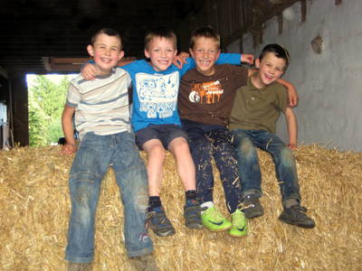 Bild 16 aus  Sternenhof