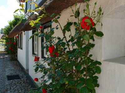 Bild 6 aus  das Föhrienhaus mit seinen drei Einheiten