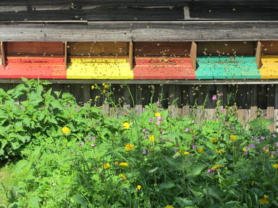 Bild 20 aus  Frankhof