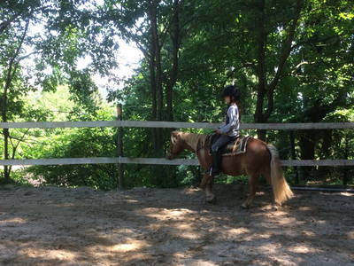 Bild 9 aus  Arabian Harmony