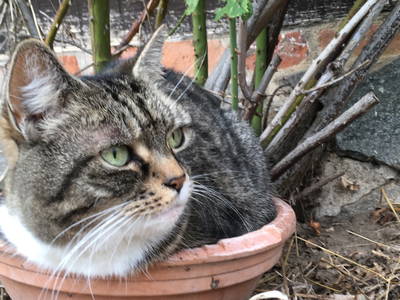 Bild 7 aus  Ferienhof Rauchhaus