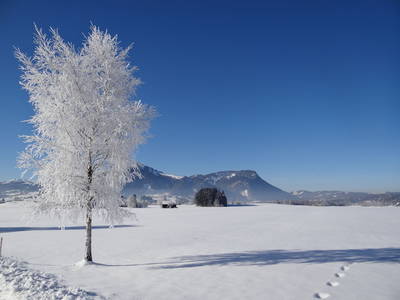 Bild 25 aus  Ferienhof Herz im Oberallgäu