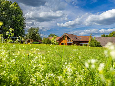 Bild 30 aus  Heumanns Blockhäuser am Wald