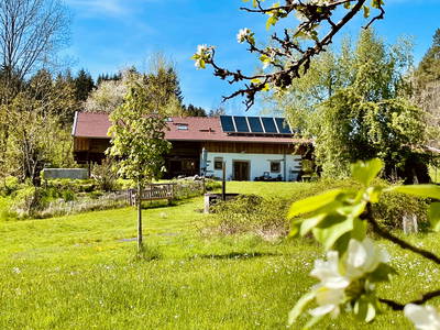 Bild 2 aus  Chalet Dürrfeld - Platz für gute Freunde