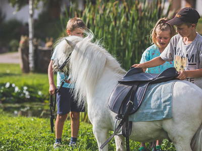 Bild 14 aus  Lärchhof