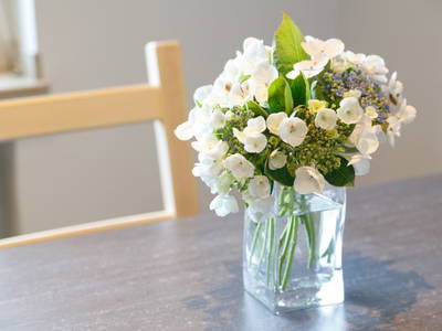 Bild 13 aus  Ferienwohnung am Halderner Wald