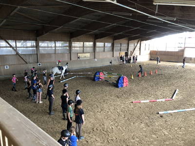 Bild 39 aus  Reitschule Fuchsenhof FN