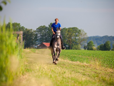 Bild 5 aus  Ferienwohnungen Seehof am Waginger See