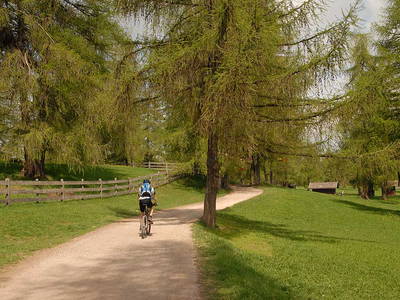 Bild 25 aus  Wietererhof