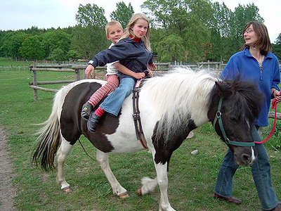 Bild 10 aus  Ferien in Zempow