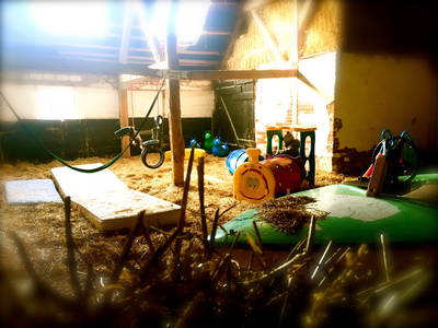 Bild 43 aus  Ferienhof Presener Deichkrone