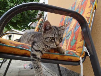 Bild 13 aus  Schwarz-Hof