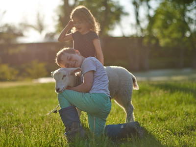 Bild 7 aus  Gut Friederikenhof