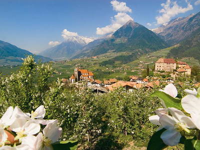 Bild 23 aus  Krebishof